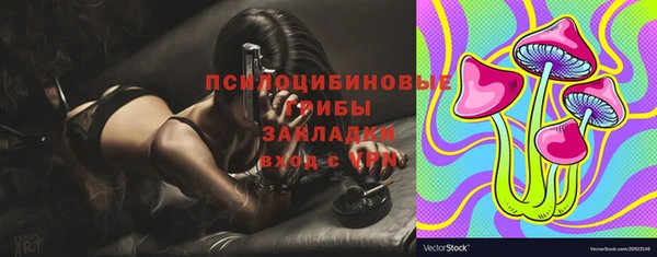первитин Нягань