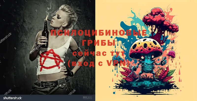 мега tor Ак-Довурак Псилоцибиновые грибы Magic Shrooms