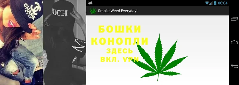 блэк спрут онион  Ак-Довурак  Каннабис семена 